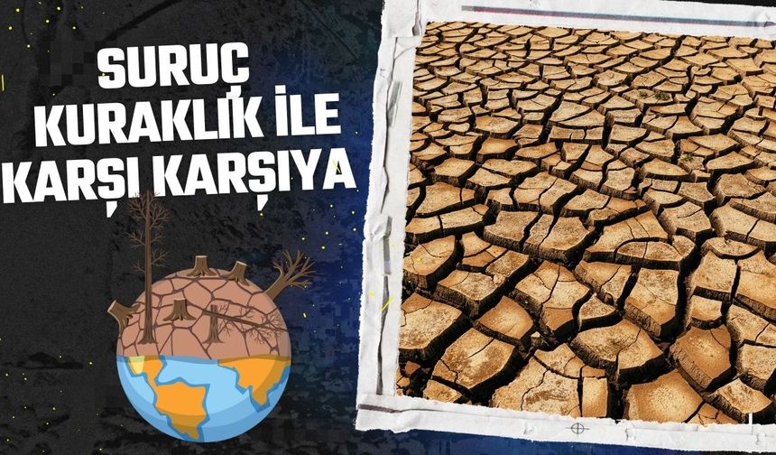 Suruç Ovası Kuraklık İle Karşı Karşıya