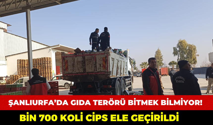 Şanlıurfa’da Gıda Terörü Bitmek Bilmiyor! Bin 700 Koli Cips Ele Geçirildi