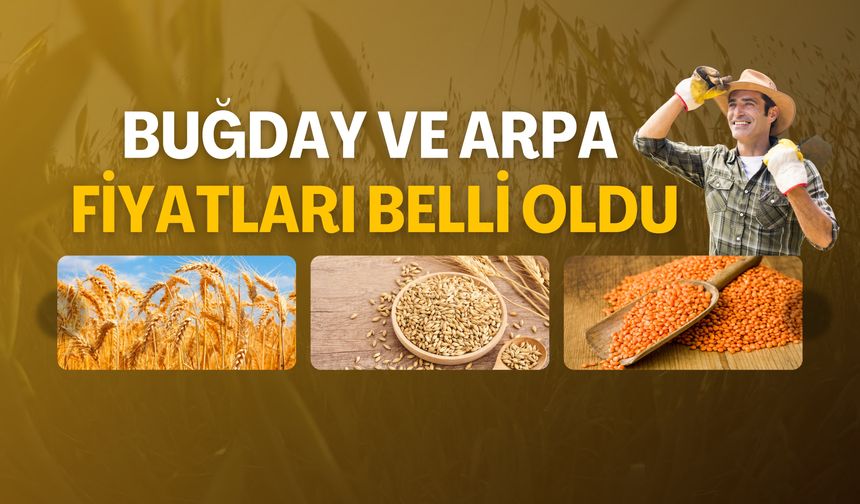 Buğday ve Arpa Fiyatları Belli Oldu: İşte Yeni Rakamlar!