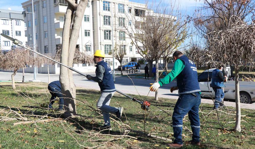 Haliliye’de 203 Park Ve Sokaklarda Hummalı Peyzaj Çalışmaları