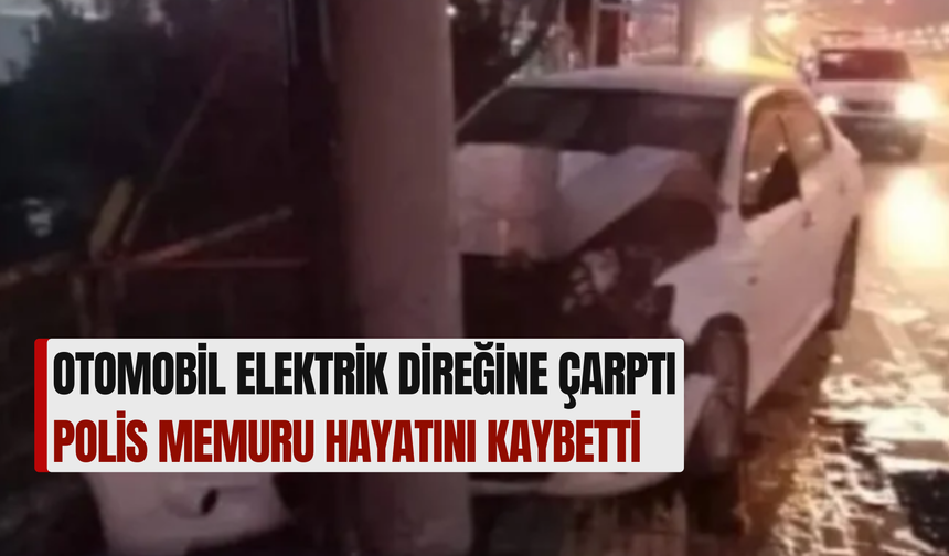 Otomobil Elektrik Direğine Çarptı: Polis Memuru Hayatını Kaybetti