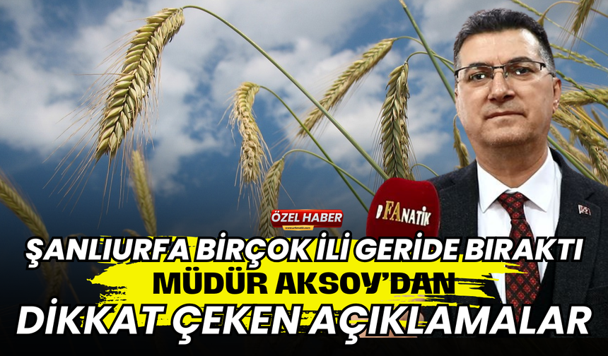 Şanlıurfa Birçok İli Geride Bıraktı: Müdür Aksoy'dan Dikkat Çeken Açıklamalar