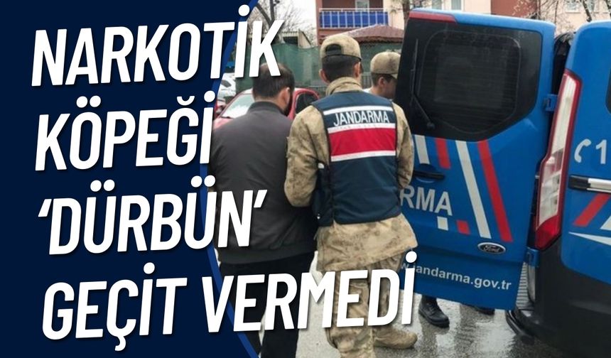 Şanlıurfa’da Narkotik Köpeği ‘Dürbün’ Geçit Vermedi: 2 Gözaltı