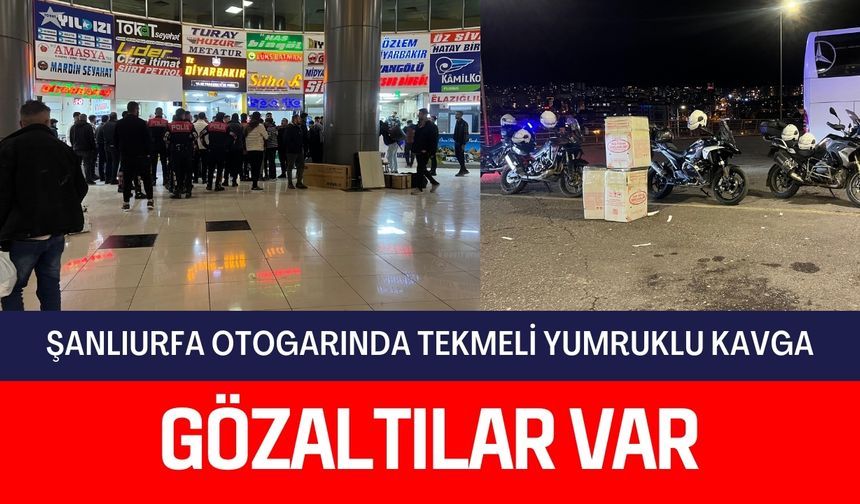 Şanlıurfa Otogarında Tekmeli Yumruklu Kavga: 2 Gözaltı