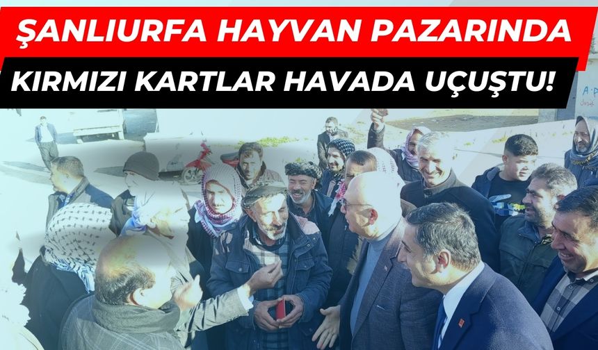 Şanlıurfa Hayvan Pazarında Kırmızı Kartlar Havada Uçuştu!