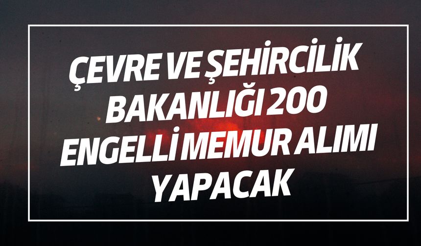 Şanlıurfa’da 200 Engelli Personel Alımı İçin Başvurular Başladı