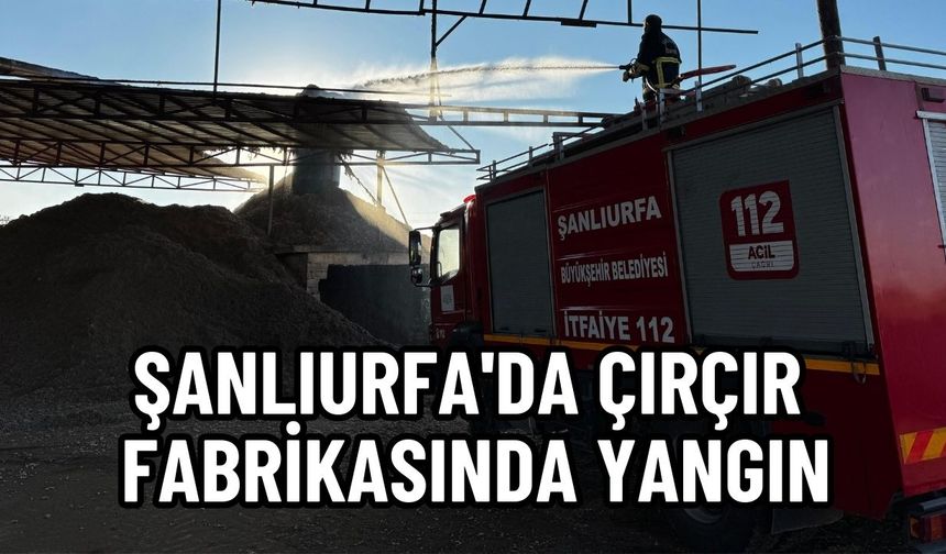 Şanlıurfa'da Çırçır Fabrikasında Yangın: Tonlarca Pamuk Yandı