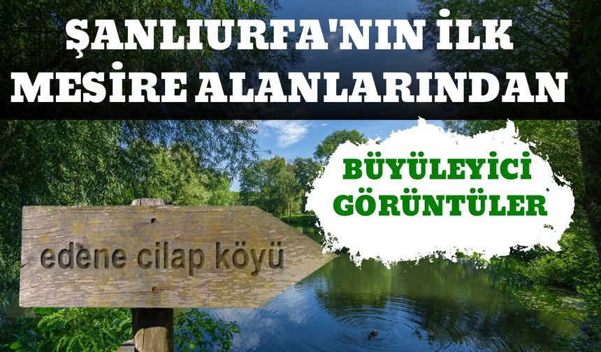 Şanlıurfa'nın İlk Mesire Alanlarından: Büyüleyici Görüntüler