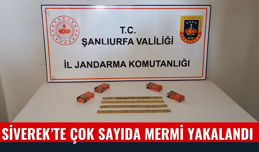 Şanlıurfa Siverek'te Çok Sayıda Mermi Ele Geçirildi