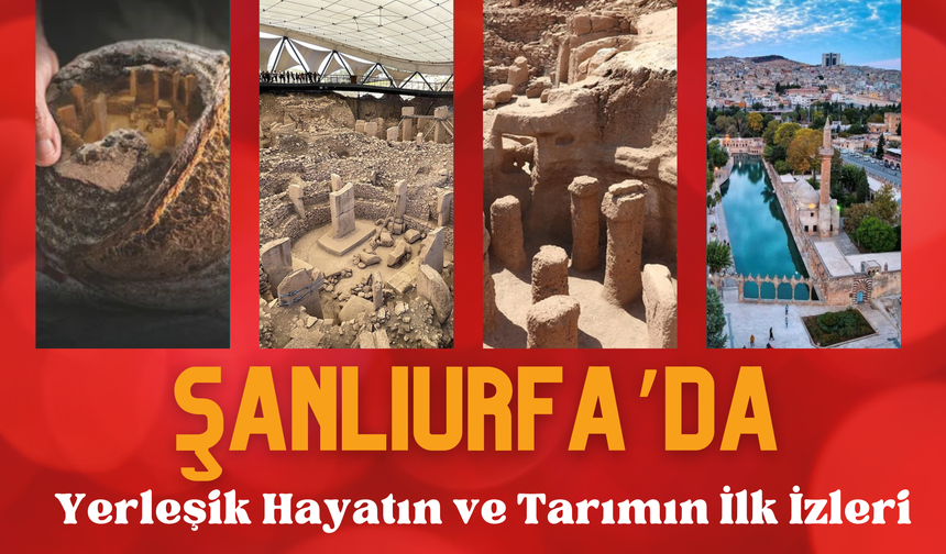 Yerleşik Hayatın ve Tarımın İlk İzleri Şanlıurfa’da Ortaya Çıkıyor