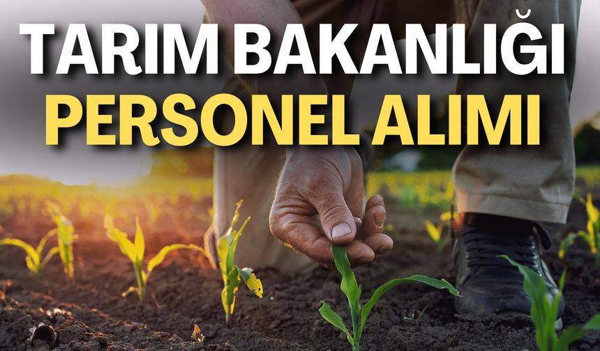 Tarım ve Orman Bakanlığı Personel Alımı/ Tarım Bakanlığı Personel Alımı