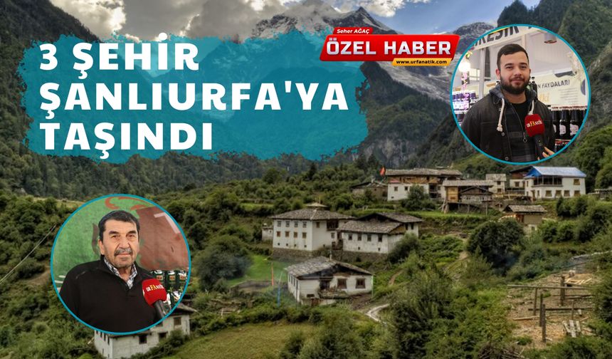 Trabzon, Kastamonu, Bursa: 3 Şehir Şanlıurfa'ya Taşındı