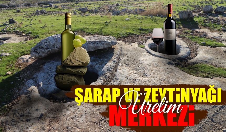 Şanlıurfa’da Şarap ve Zeytinyağı Üretim Merkezi Keşfedildi