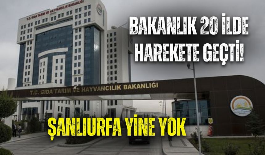 Bakanlık 20 İlde Harekete Geçti! Şanlıurfa Yine Yok