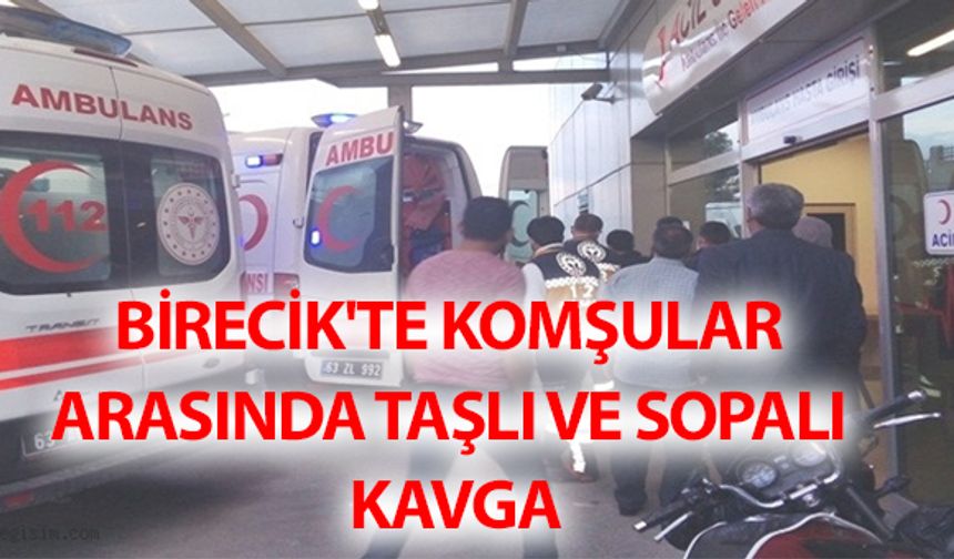 Birecik'te Komşular Arasında Taşlı ve Sopalı Kavga: 8 Yaralı