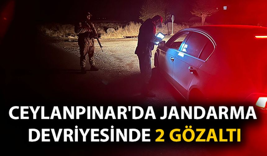 Ceylanpınar’da Jandarma Devriyesiyle 2 Şahıs Gözaltına Alındı