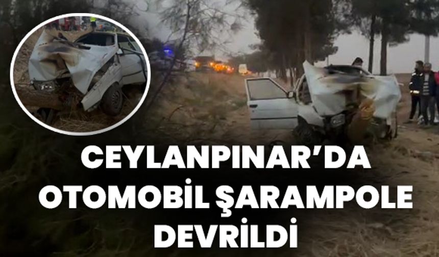 Ceylanpınar’da Otomobil Şarampole Devrildi: Yaralılar Var