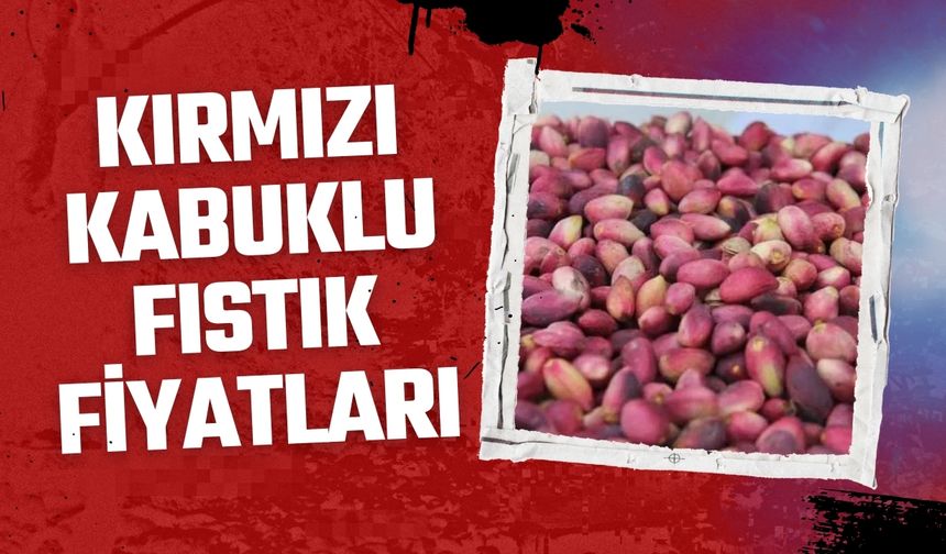 Kırmızı Kabuklu Fıstık Fiyatları