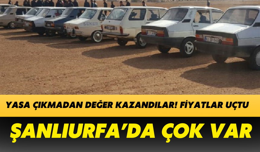 Yasa Çıkmadan Değer Kazandılar! Fiyatlar Uçtu: Şanlıurfa’da Çok Var