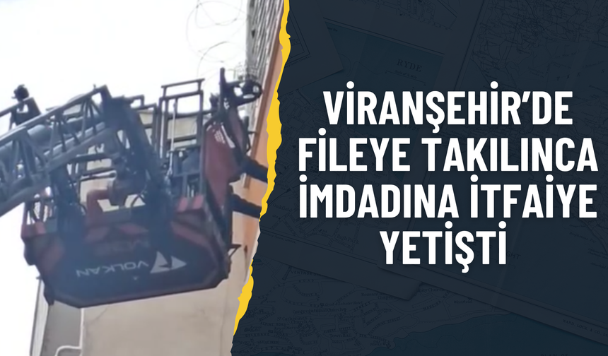 Viranşehir’de Fileye Takılınca İmdadına İtfaiye Yetişti