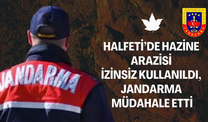 Şanlıurfa’da Jandarma, Hazine Arazisini İzinsiz Kullananı Yakaladı