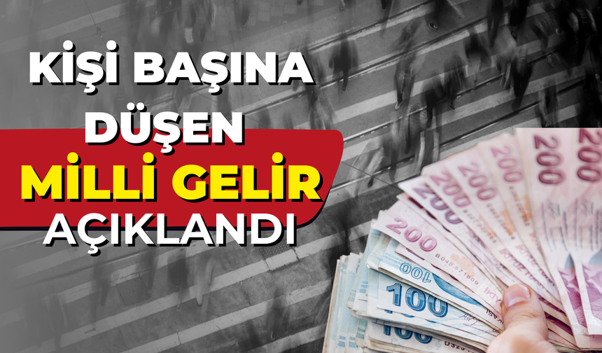 Kişi Başına Düşen Milli Gelir Açıklandı!