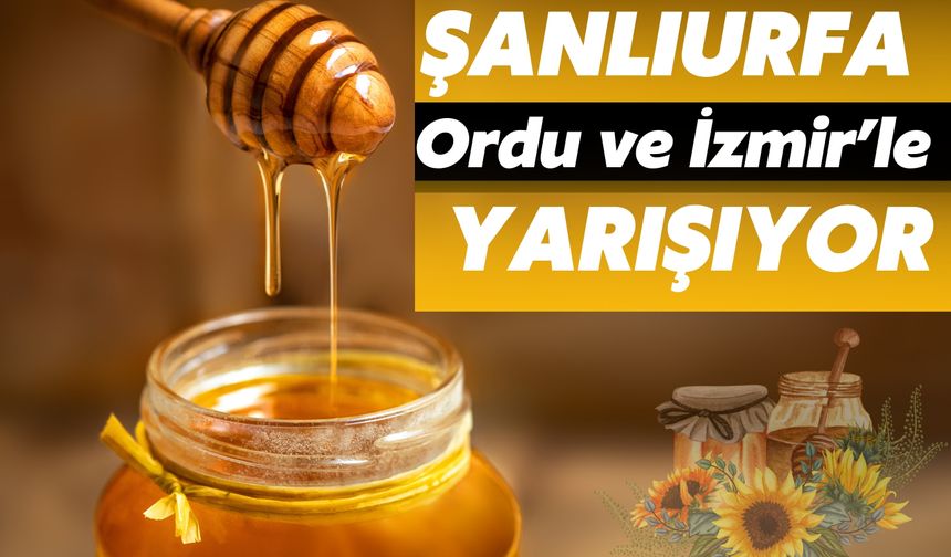 Şanlıurfa, Ordu ve İzmir’le Yarışıyor