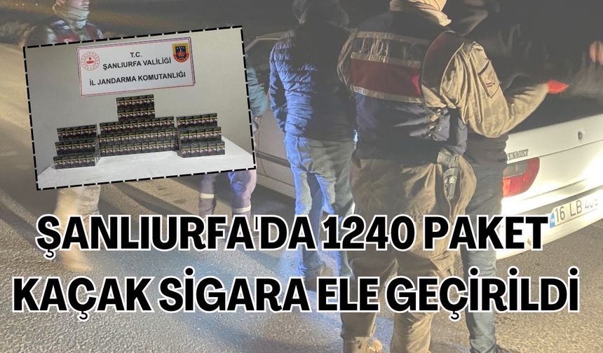 Şanlıurfa'da 1240 Paket Kaçak Sigara Ele Geçirildi