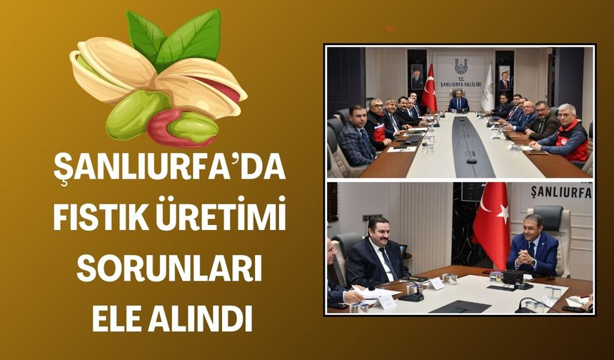 Şanlıurfa’da Fıstık Üretiminde Yeni Adımlar Atılıyor