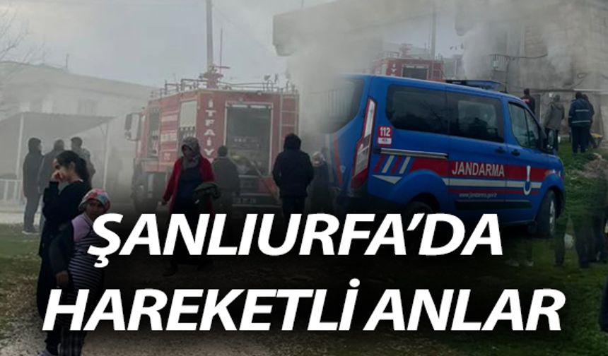 Şanlıurfa’da Hareketli Anlar: Jandarma Ekipleri Olay Yerinde