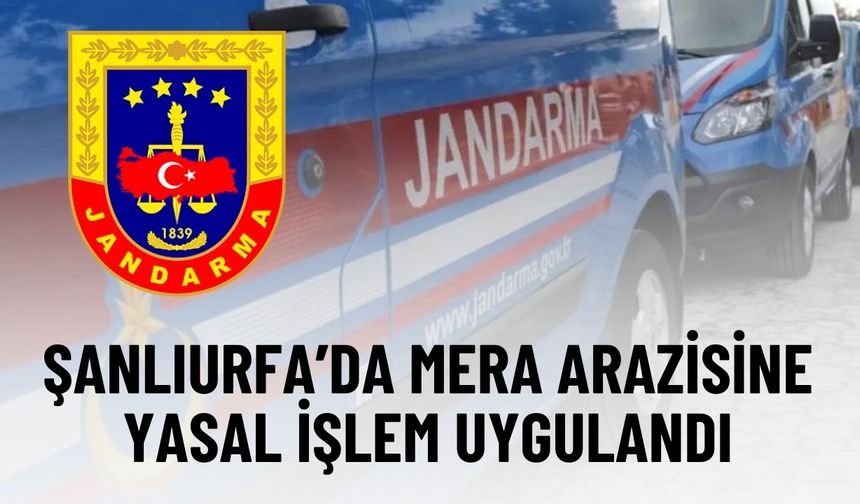 Şanlıurfa Jandarması Mera İşgaline Geçit Vermedi