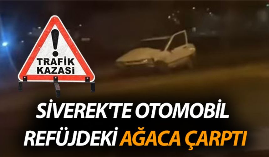 Şanlıurfa Siverek ilçesinde Son Dakika Trafik Kazası