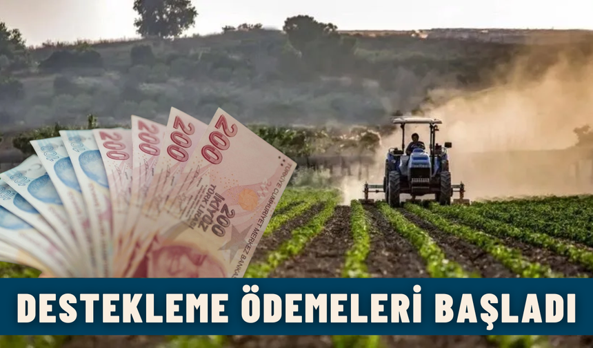 Tarım ve Orman Bakanlığı’ndan Çiftçilere 3,2 Milyar TL Destek Ödemesi