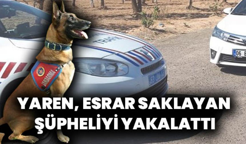 Şanlıurfa'da Dedektör Köpek YAREN, Otobüste Esrar Buldu