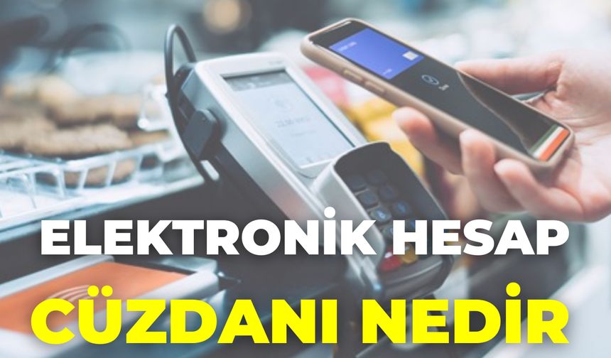 Elektronik Hesap Cüzdanı Nedir