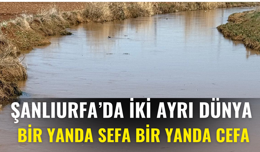 Şanlıurfa’da İki Ayrı Dünya: Bir Yanda Sefa Bir Yanda Cefa