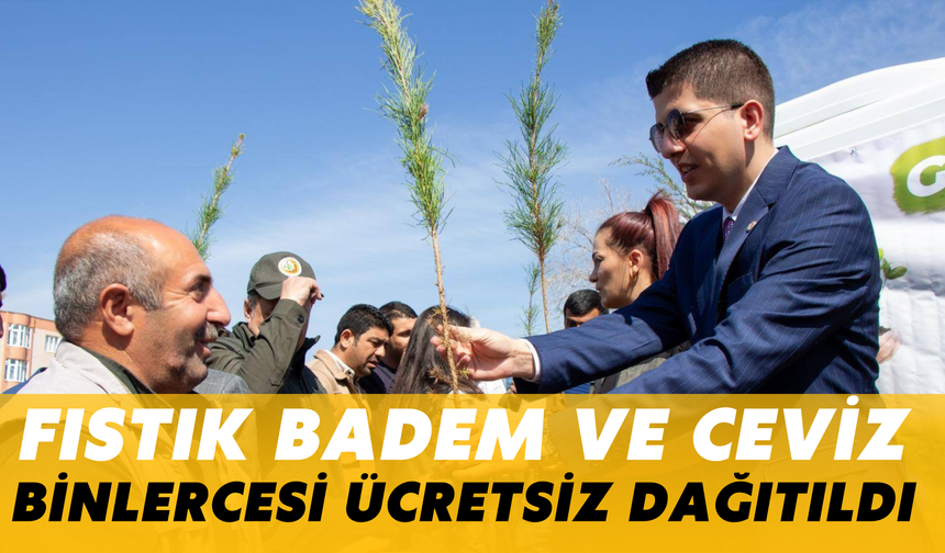 Fıstık, Badem ve Ceviz Binlercesi Ücretsiz Dağıtıldı