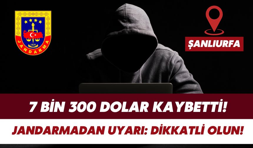 Şanlıurfa’da İnternet Dolandırıcılığı: 7 Bin 300 Dolar Kaybetti!