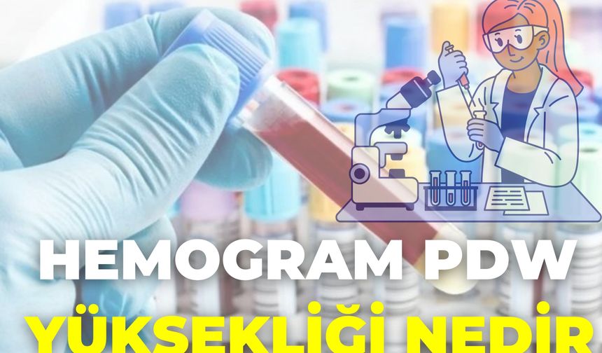 Hemogram Pdw Yüksekliği Nedir