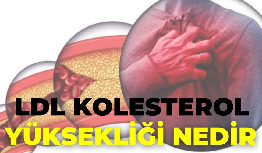 Ldl Kolesterol Yüksekliği Nedir