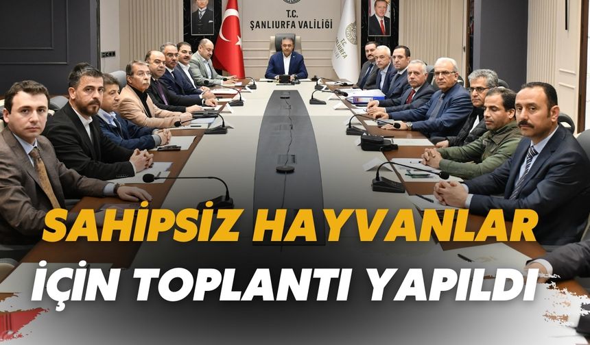 Şanlıurfa'da Sahipsiz Hayvanlar İçin Toplantı Yapıldı