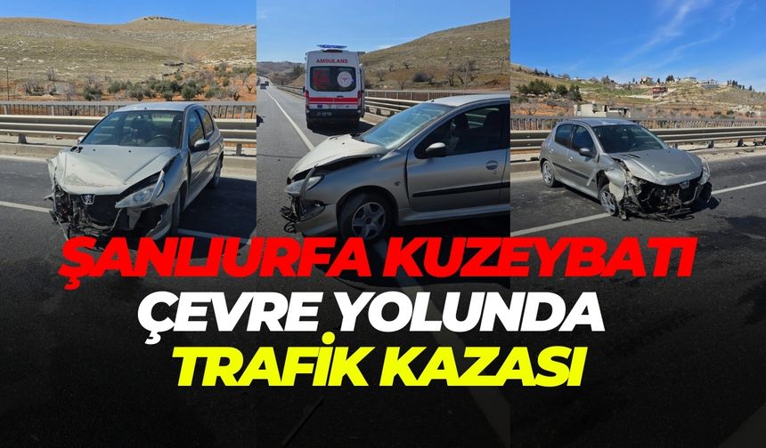 Şanlıurfa Kuzeybatı Çevre Yolunda Trafik Kazası