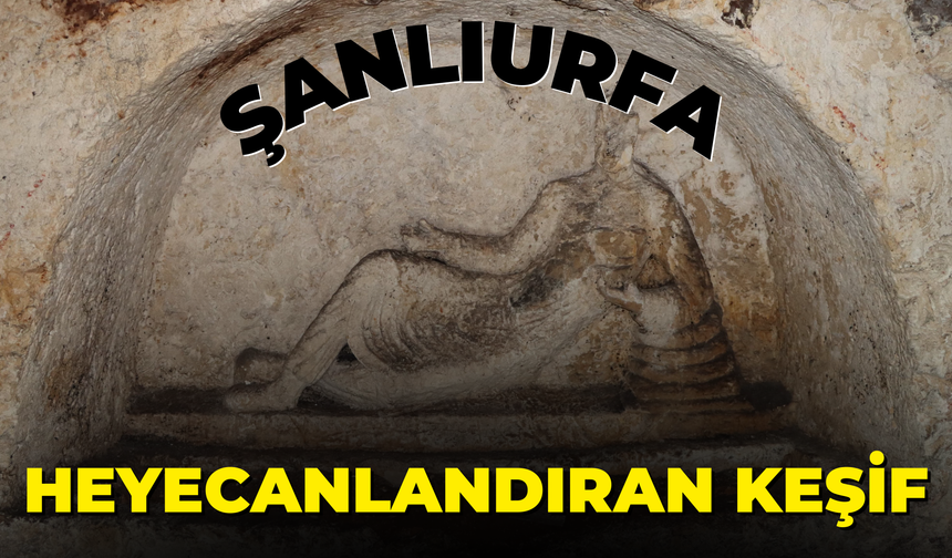 Şanlıurfa’da Heyecanlandıran Keşif!