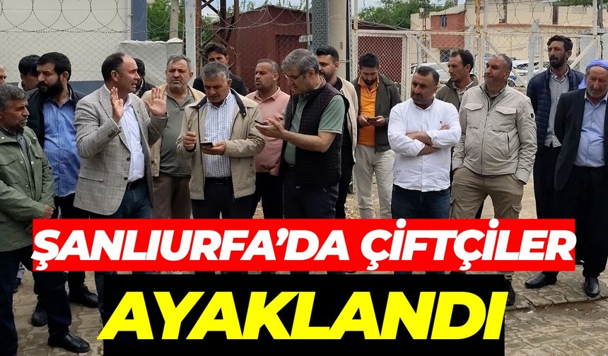 Şanlıurfa Hilvan’da Çiftçiler Ayaklandı