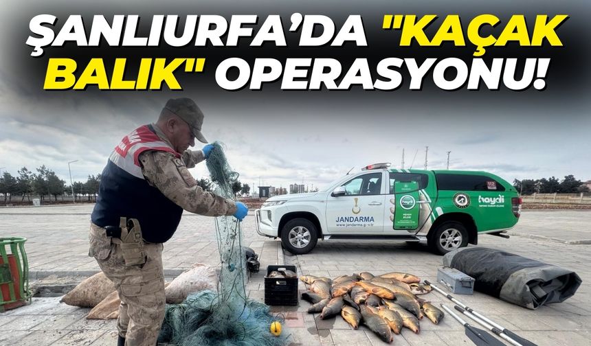 Şanlıurfa’da "Kaçak Balık" Operasyonu!