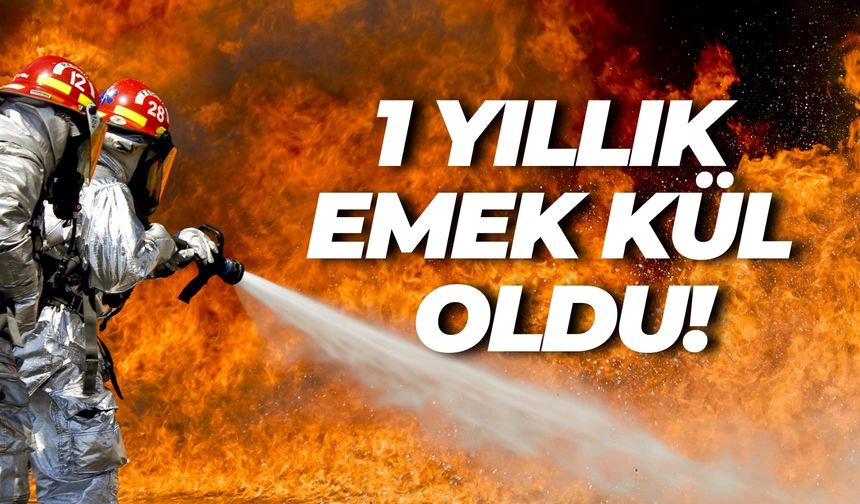Bir Kıvılcım, Şanlıurfa’da 1 Yıllık Emeği Yok Etti!