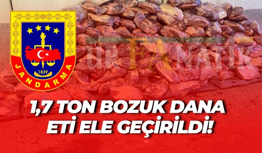 Şanlıurfa’da 1,7 Ton Kaçak Dana Eti Jandarma Tarafından Ele Geçirildi