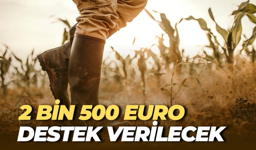 2 Bin 500 Euro Destek Verilecek
