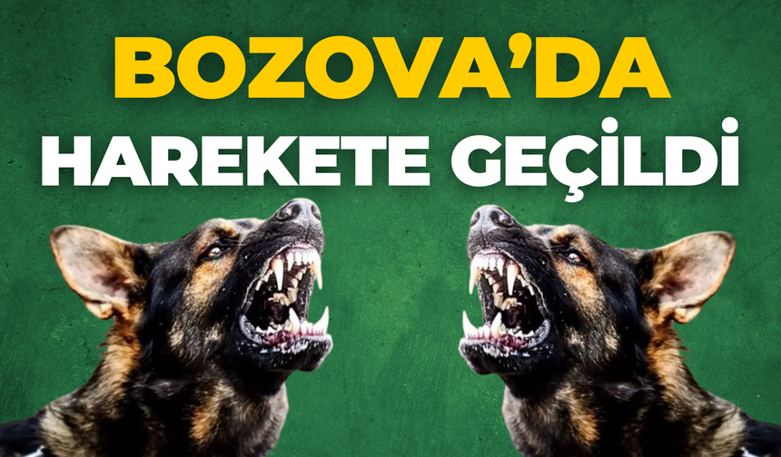 Son Günlerde Gündemdeydi, Bozova’da Harekete Geçildi