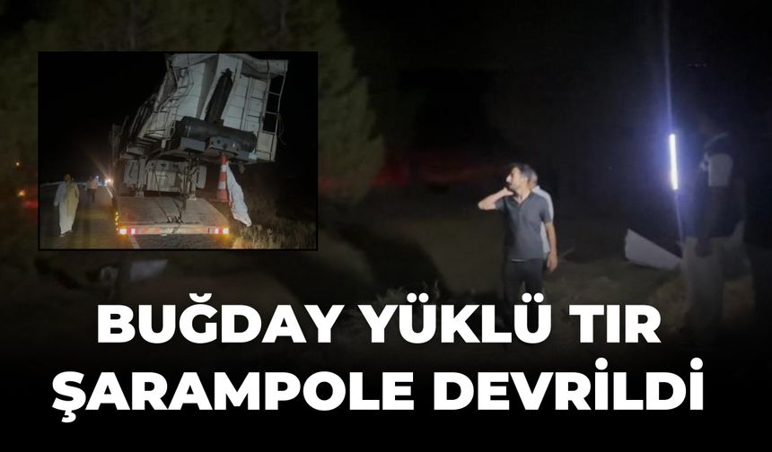 Şanlıurfa'da Feci Kaza: Buğday Yüklü Tır Şarampole Devrildi